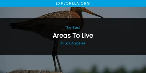 Los Angeles' Best Areas to Live
