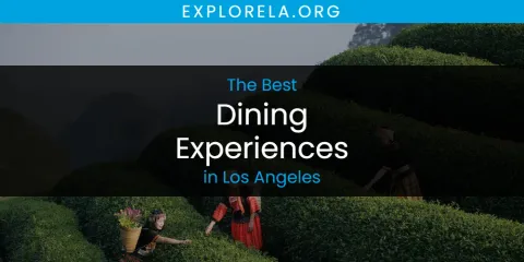 Discover the Best Dining Experiences in Los Angeles