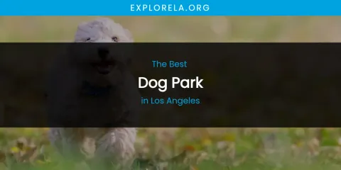 Los Angeles' Best Dog Park