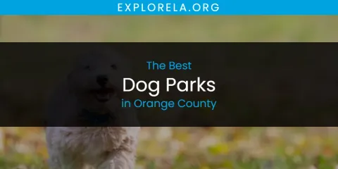 Guide to Best Dog Parks in Orange County