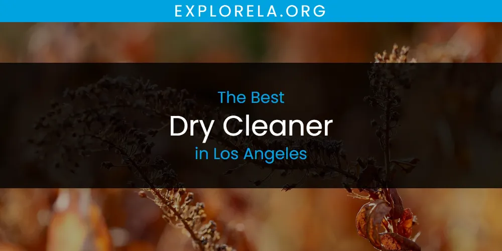 Los Angeles' Best Dry Cleaner [Updated 2025]