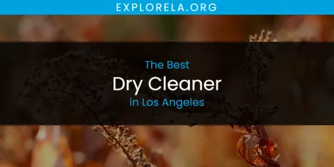 The Best Dry Cleaner in Los Angeles List