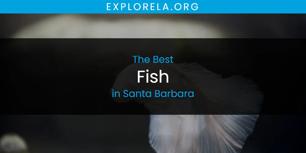Santa Barbara's Best Fish [Updated 2025]