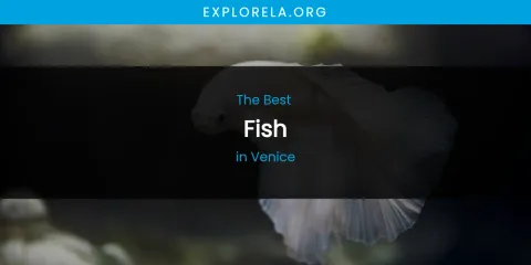 Venice's Best Fish
