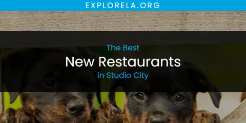 Studio City's Best New Restaurants