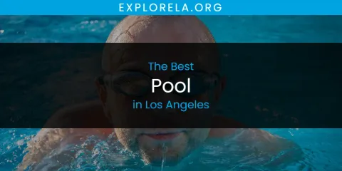 The Best Pool in Los Angeles
