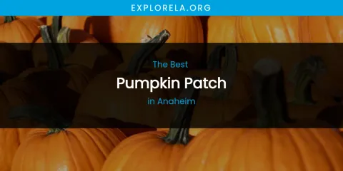 The Absolute Best Pumpkin Patch in Anaheim
