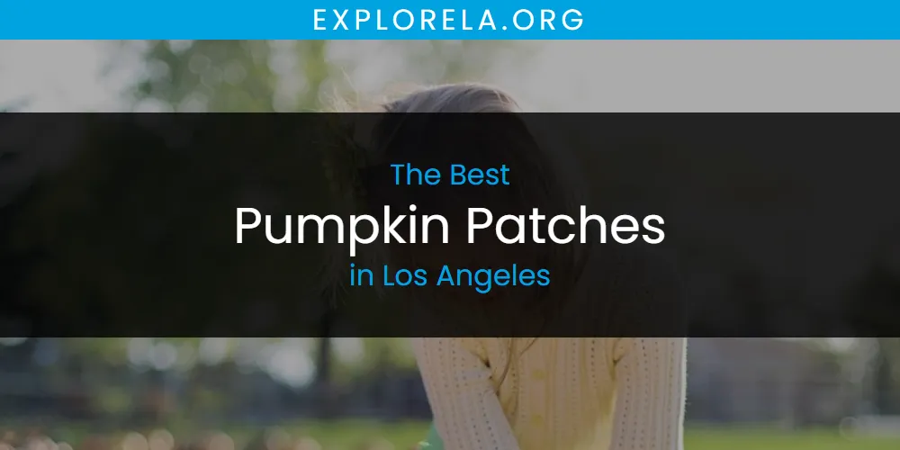 Los Angeles' Best Pumpkin Patches [Updated 2025]