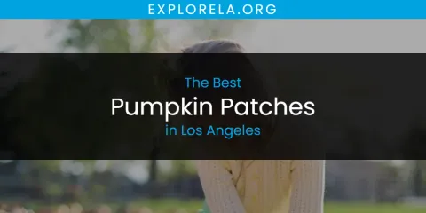 The Top-Rated Pumpkin Patches in Los Angeles