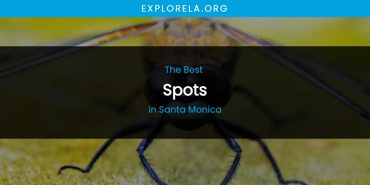 Santa Monica's Best Spots featured
