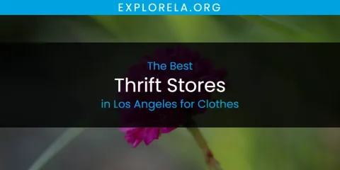 Best Thrift Stores in Los Angeles for Clothes: Ultimate Guide