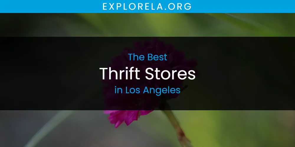 Los Angeles' Best Thrift Stores [Updated 2025]
