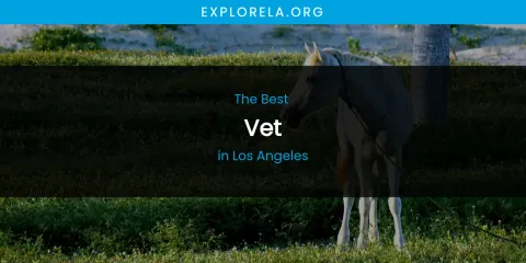 Los Angeles' Best Vet